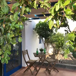 https://apartamento-delia-castillo-a-100-metros-de-la-playa.in-canary-islands.com